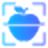 Plugin icon