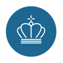 Plugin icon