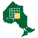 Plugin icon