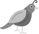 Plugin icon